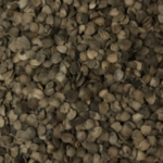 Semilla de Jicaro (Jicaro Seeds)