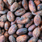 Cacao Beans