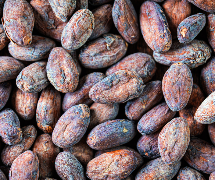 Cacao Beans