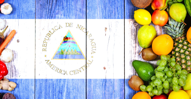 Exploring the Flavors of the Caribbean Coast