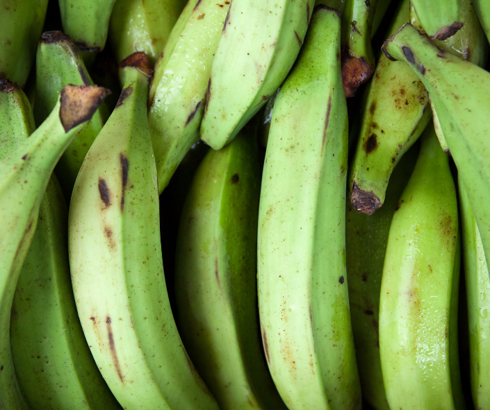 Green Plantain (Plátano Verde)