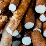 Yuca (Cassava)